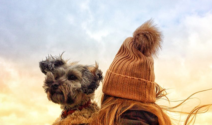 What is Gift Cards and Teach Us About Web Design